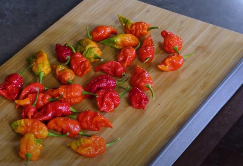 Carolina Reaper Sauce Easy Hot Recipe Carolina Reaper Sauce Easy Hot Recipe
