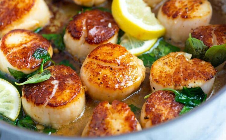 Seared Scallops