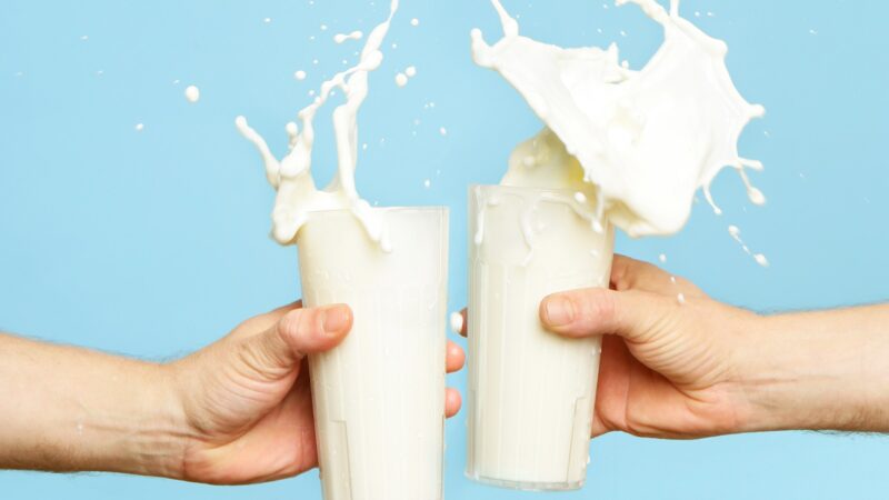 Skim Milk and Dairy Alternatives