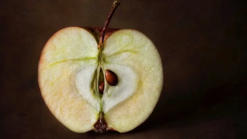 The Science Behind Apple Browning