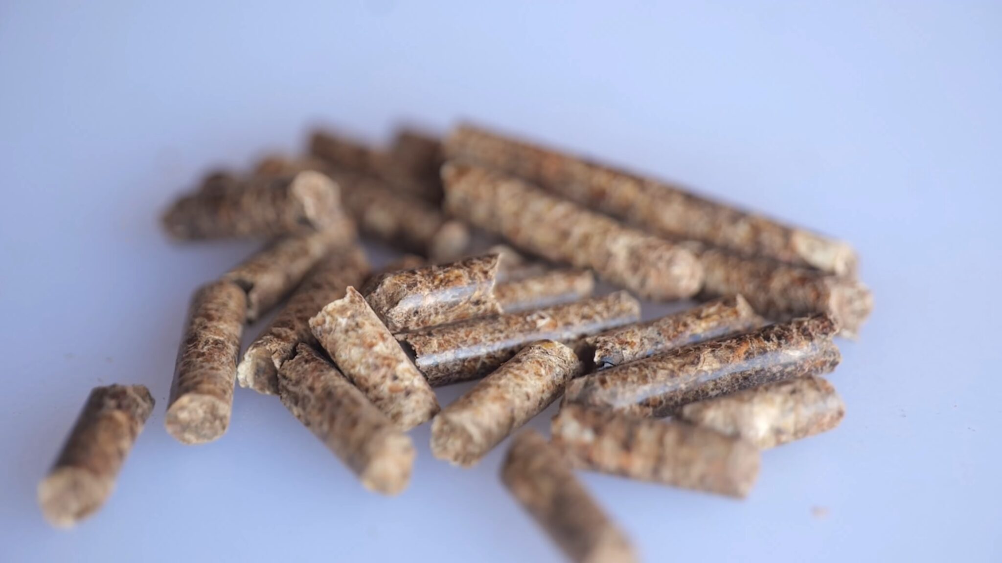 Types Of Pellets For A Traeger Grill