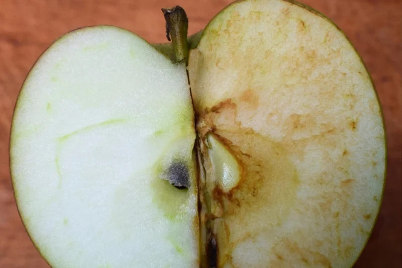 Understanding Why Apples Turn Brown