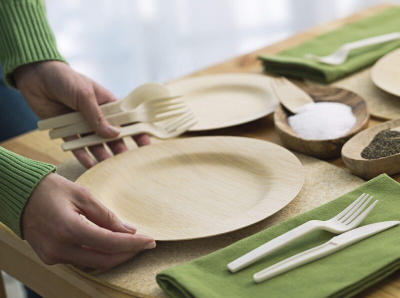 Bamboo Plates. Concept for Benefits of Eco-Friendly Plates for Children