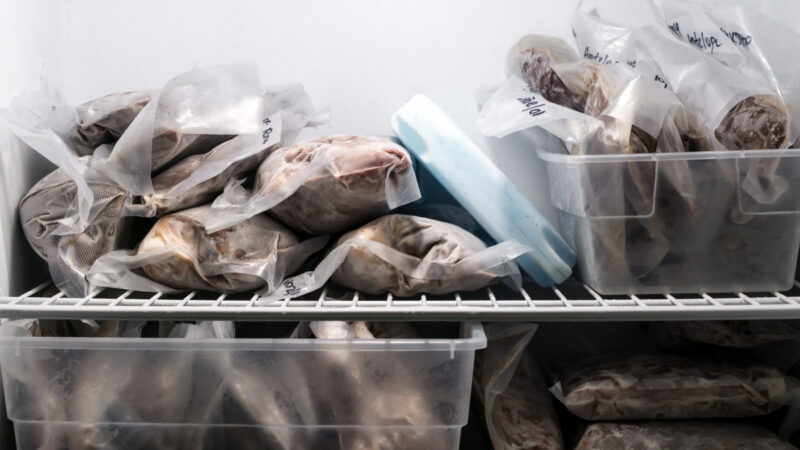 Labelling Tips for Freezer Storage