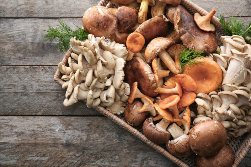 Mushrooms That Can Be Eaten Raw
